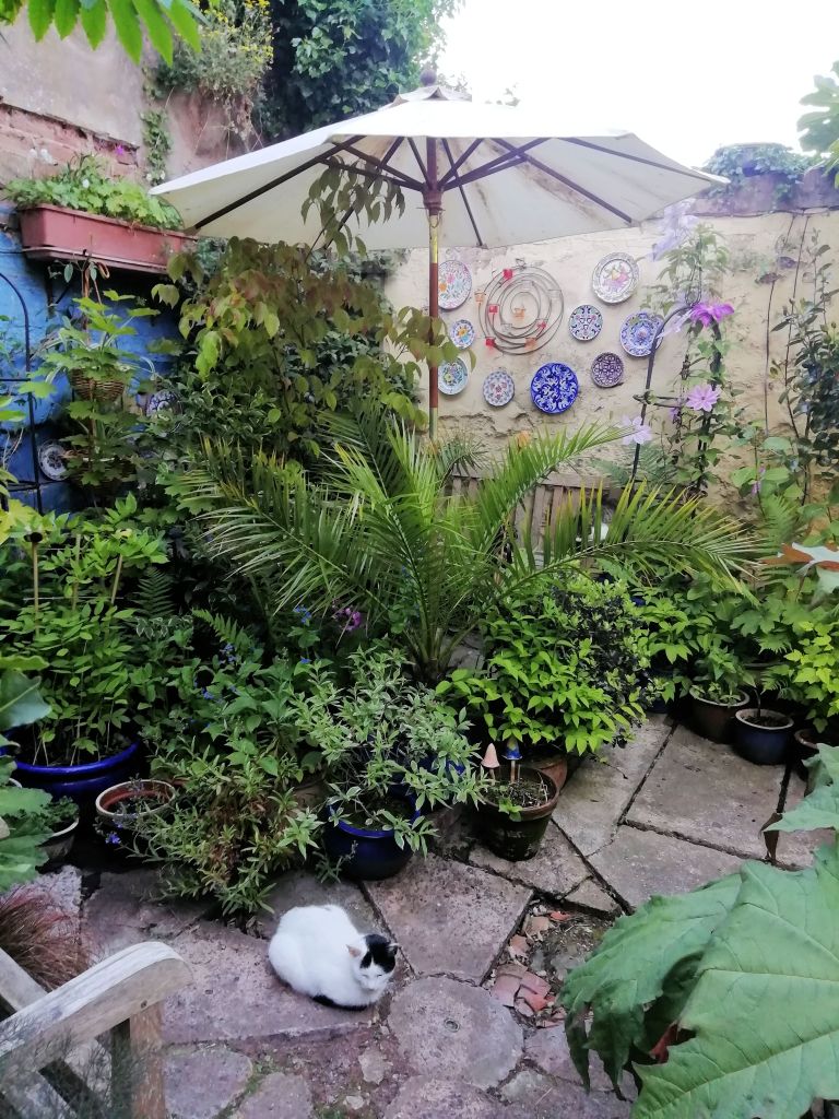 This image has an empty alt attribute; its file name is garden1.jpg